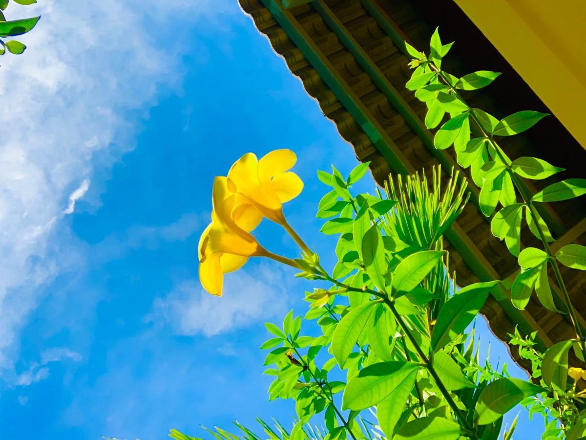 Canary Bungalow Фу Куок Екстериор снимка
