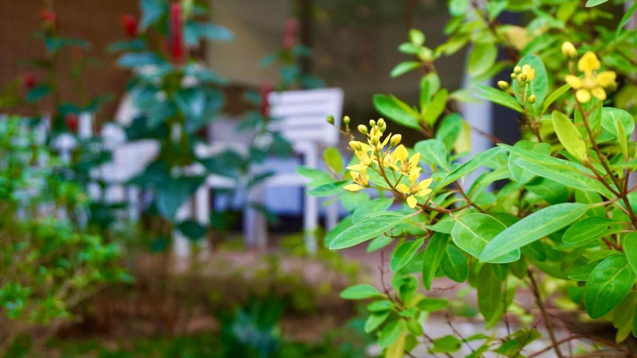 Canary Bungalow Фу Куок Екстериор снимка